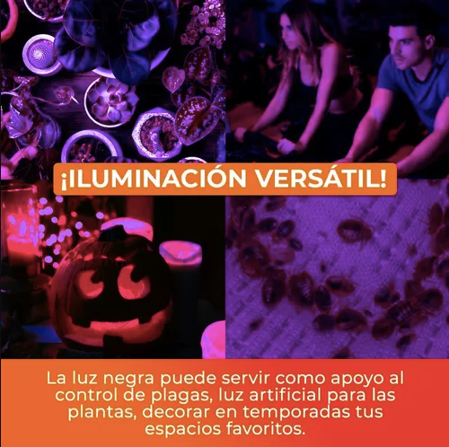 Foco Luz Negra Espiral 20W